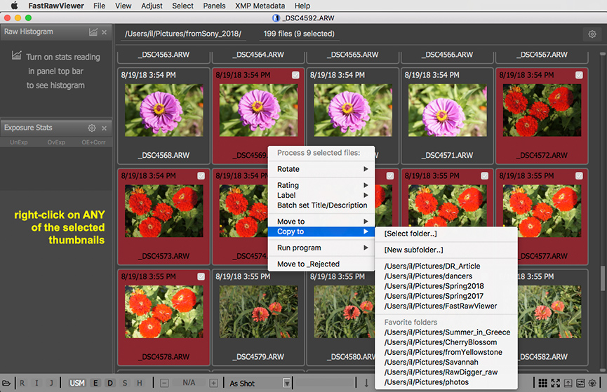 fastrawviewer adjust contrast multiple files at once