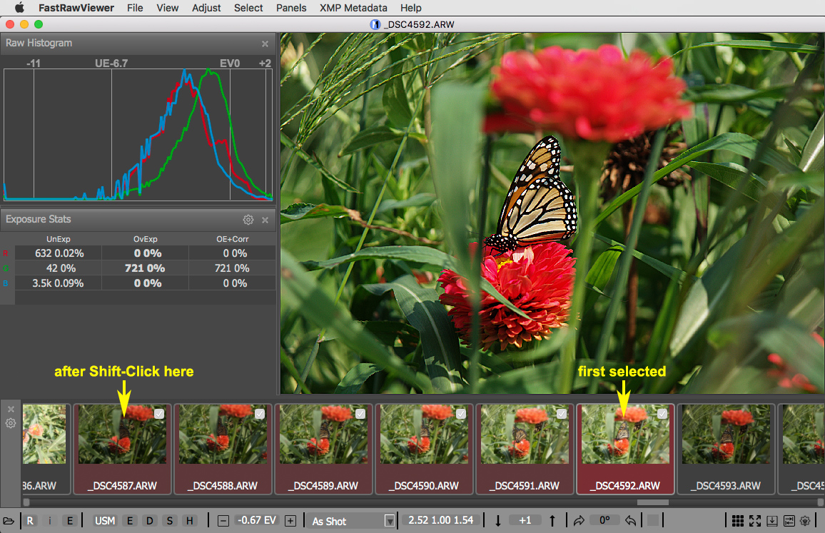 fastrawviewer dynamic range for specific camera iso