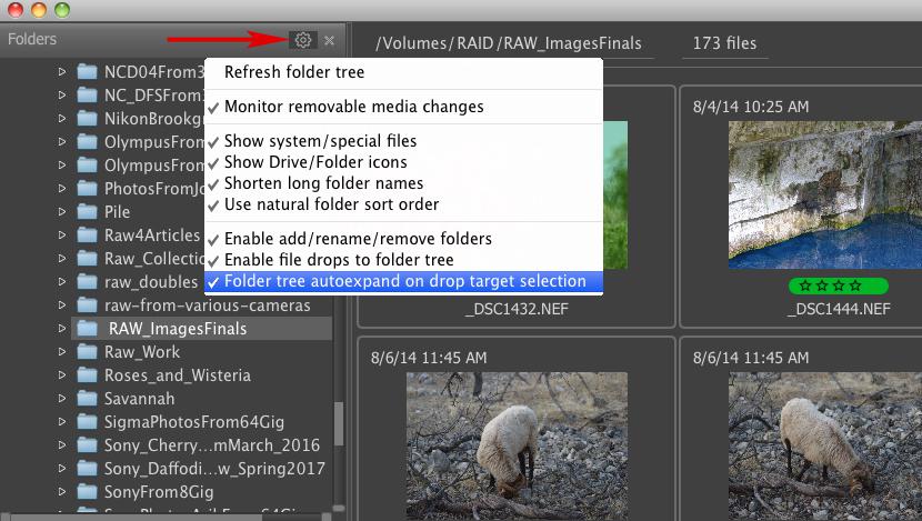 how to select and move files in fastrawviewer